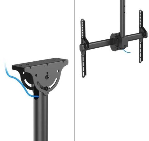 Neomounts Uchwyt do monitora/TV CL35-440BL16L 37-70 cali 50kg