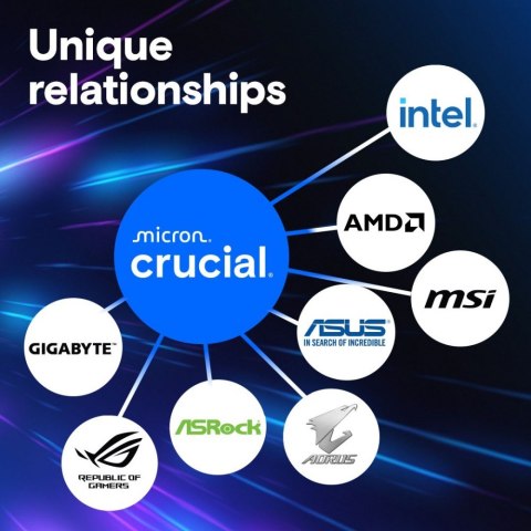 Crucial Pamięć DDR5 Pro 16GB/6000(1*16GB) CL48 Crucial Pamięć DDR5 Pro 16GB/6000(1*16GB) CL48