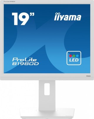 IIYAMA Monitor 19 cali B1980D-W5 DVI,VGA,PIVIOT,HAS/150mm,5:4