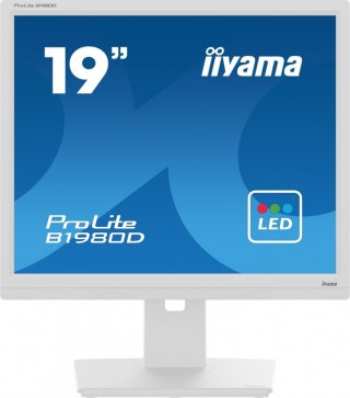 IIYAMA Monitor 19 cali B1980D-W5 DVI,VGA,PIVIOT,HAS/150mm,5:4