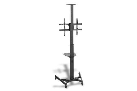 Digitus Stojak mobilny pojedynczy z półką, 1xLCD, max. 70", max. 50kg, VESA max. 600x400 pivot