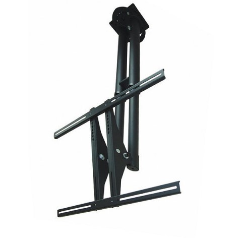 Neomounts Uchwyt sufitowy PLASMA-C100 BLACK Neomounts Uchwyt sufitowy PLASMA-C100 BLACK