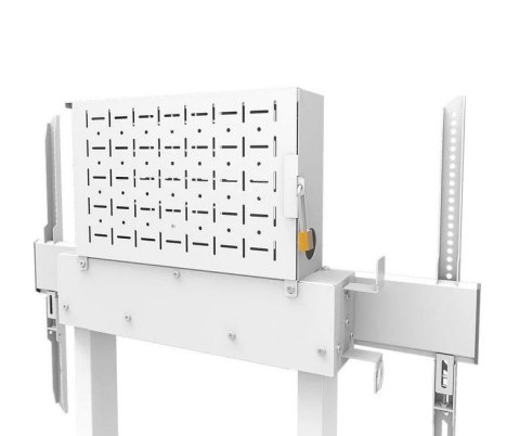 Neomounts Uchwyt na monitor WL55-875WH1