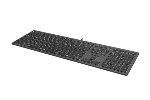 A4 Tech Klawiatura FStyler FX60H (białe podświetlenie) A4 Tech Klawiatura FStyler FX60H (białe podświetlenie)