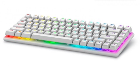 Dell Klawiatura bezprzewodowa Alienware Pro US QWERTY Lunar Light Dell Klawiatura bezprzewodowa Alienware Pro US QWERTY Lunar Light