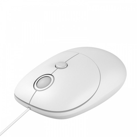 IBOX Mysz i011 Seagull
