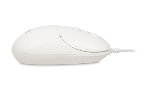 IBOX Mysz i011 Seagull