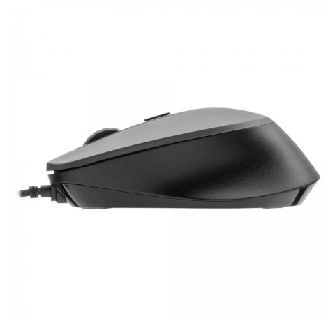 MS Mysz przewodowa Focus C120 2400 DPI czarna MS Mysz przewodowa Focus C120 2400 DPI czarna