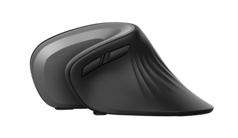 Trust Mysz bezprzewodowa Verro Ergonomic Trust Mysz bezprzewodowa Verro Ergonomic