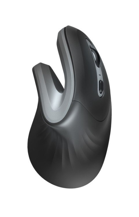 Trust Mysz bezprzewodowa Verro Ergonomic Trust Mysz bezprzewodowa Verro Ergonomic