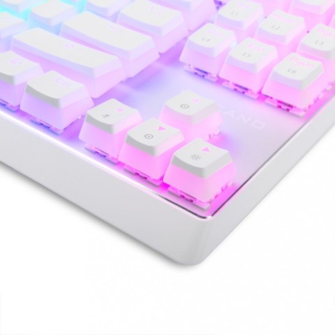 MODECOM Przewodowa klawiatura mechaniczna RGB PUDDING EDITION biała
