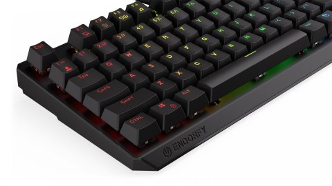 Endorfy Klawiatura gamingowa Thock TKL Kailh BL RGB