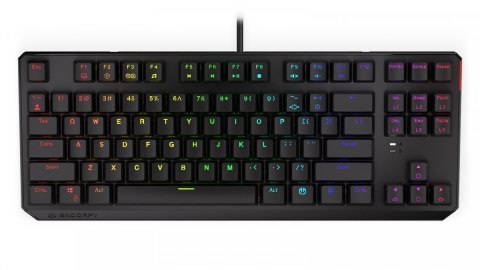 Endorfy Klawiatura gamingowa Thock TKL Kailh BL RGB