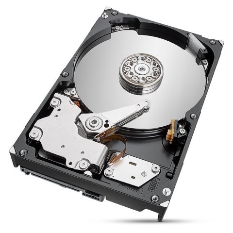 Seagate Dysk IronWolf 2TB 3,5 256MB ST2000VN003 Seagate Dysk IronWolf 2TB 3,5 256MB ST2000VN003