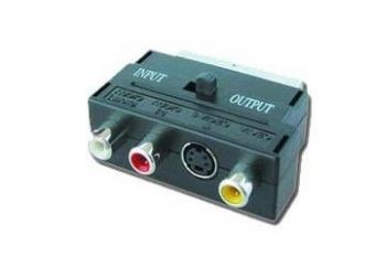 Gembird Adapter EURO/SVHS-3RCA (CHINCH) Gembird Adapter EURO/SVHS-3RCA (CHINCH)