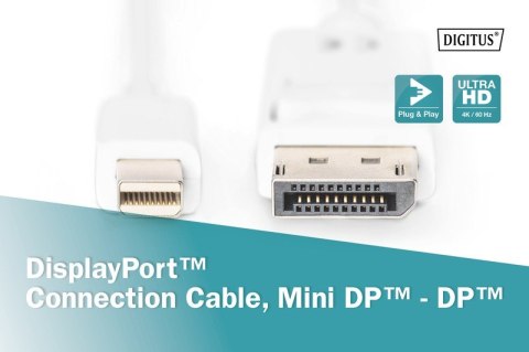 Digitus Kabel połączeniowy Displayport 4K 60Hz UHD Typ miniDP/DP M/M biały 2m Digitus Kabel połączeniowy Displayport 4K 60Hz UHD Typ miniDP/DP M/M biały 2m