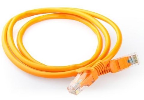 Gembird Patch cord kategoria 5e osłonka zalewana 0.5m pomarańczowy Gembird Patch cord kategoria 5e osłonka zalewana 0.5m pomarańczowy