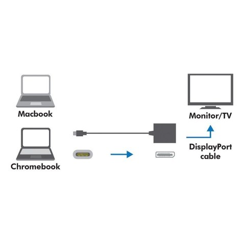 LogiLink Adapter USB-C 3.1 do Display Port LogiLink Adapter USB-C 3.1 do Display Port