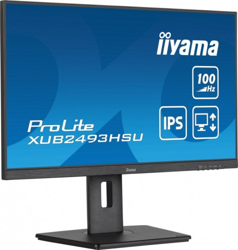 IIYAMA Monitor 24 cale XUB2493HSU-B7,IPS.HDMI.DP.2x2W.USBx2,300cd
