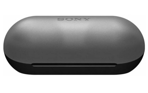 Sony Słuchawki WF-C500 czarny Sony Słuchawki WF-C500 czarny