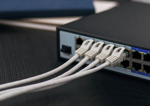 Extralink Kabel sieciowy CAT6A FTP wewnętrzny 500m LSZH