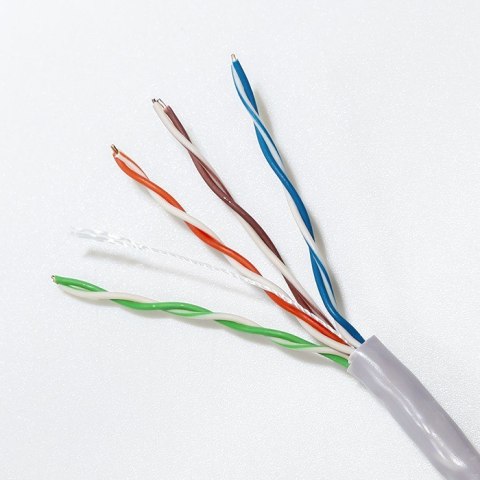 Qoltec Kabel sieciowy/skrętka UTP | CAT5E | 305m Qoltec Kabel sieciowy/skrętka UTP | CAT5E | 305m