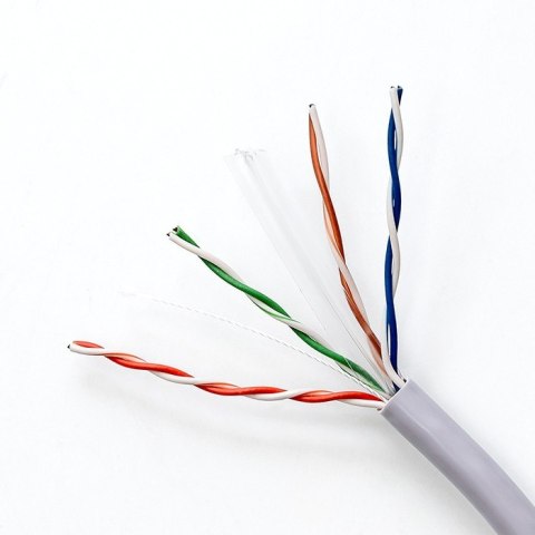 Qoltec Kabel sieciowy/skrętka UTP | CAT6 | 305m Qoltec Kabel sieciowy/skrętka UTP | CAT6 | 305m