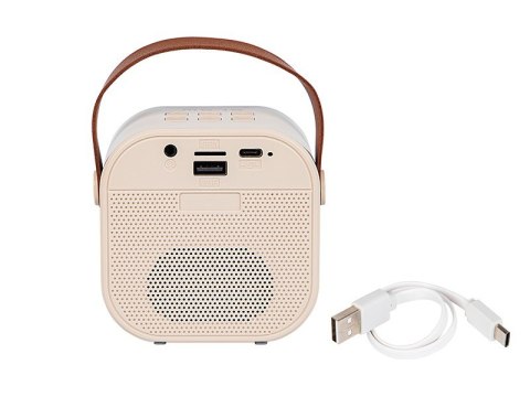 BLOW Głośnik Bluetooth Karaoke RGB BLOW Głośnik Bluetooth Karaoke RGB
