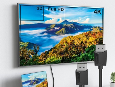 Hama Kabel displayport DP 1.2 ultra HD 4k 3m Hama Kabel displayport DP 1.2 ultra HD 4k 3m