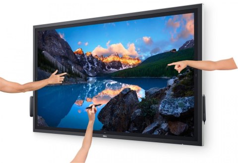 Dell Monitor 54.6 cala P5524QT Touch IPS LED UHD 4K(3840x2160)/16:9/DP/HDMI/USB-C/RS232/USB/RJ45/Głośniki/3Y