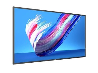 Philips Monitor wielkoformatowy 55BDL3650Q 55 cali Public display