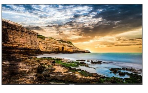 Samsung Monitor profesjonalny QE43T 43 cale Błyszczący 16h/7 300(cd/m2) 3840x2160 (UHD) Lite Player (only) 3 lata On-Site (LH43QETELGC