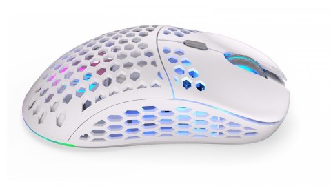 Endorfy Myszka bezprzewodowa Lix Onyx White EY6A010