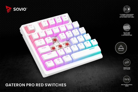 Savio Klawiatura mechaniczna bezprzewodowa PHENIX WHITE Gateron Red Pro, Pudding