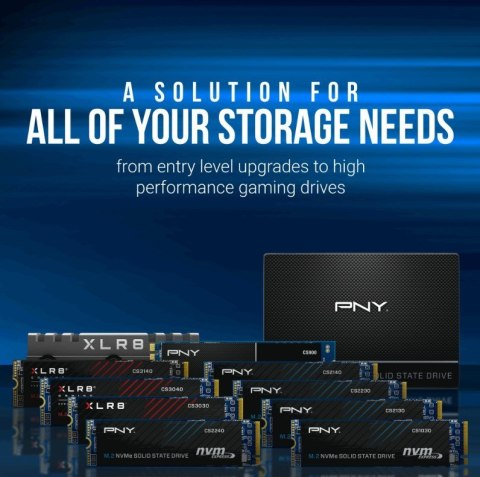PNY Dysk SSD 2TB M.2 2280 CS2230