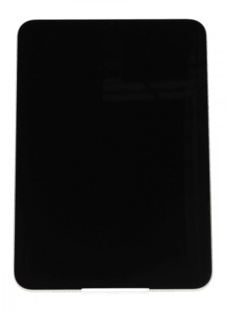 Apple IPad mini Wi-Fi 256GB - Księżycowa poświata