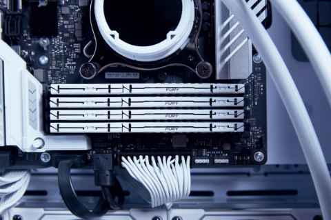 Kingston Pamięć DDR5 Fury Beast 32GB(1*32GB)/6000 CL36 biała