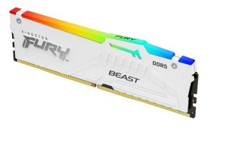 Kingston Pamięć DDR5 Fury Beast RGB 32GB(1*32GB)/5600 CL36 biała