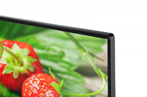 Toshiba Telewizor QLED 50 cali 50QA5D63DG