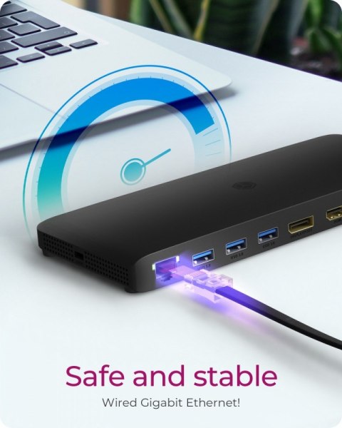 IcyBox Stacja dokująca IB-DK2416-C 11in1,HDMI,DP,USB,LAN