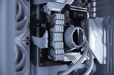 Kingston Pamięć DDR5 Fury Renegade 32GB(2*16GB)/6400 CL32 biała