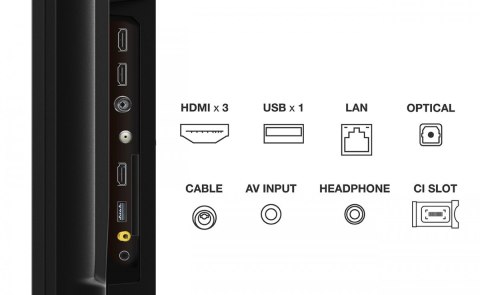 TCL Telewizor QLED 55 cali 55C645