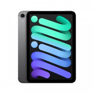 Apple IPad mini Wi-Fi + Cellular 256GB Gwiezdna szarość